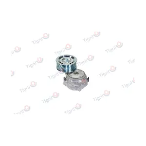 DB01.0152 TIGRIL