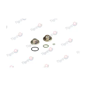 DB01.0045 TIGRIL