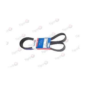 DB01.0187 TIGRIL
