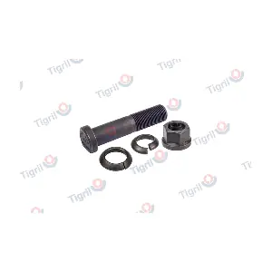 DB24.0032 TIGRIL