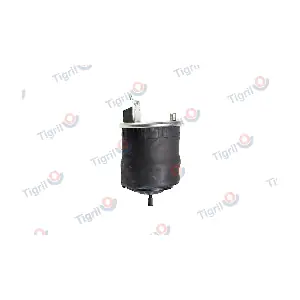 VO08.0007 TIGRIL