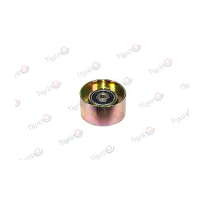 DB01.0172 TIGRIL