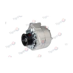 DB01.0027 TIGRIL