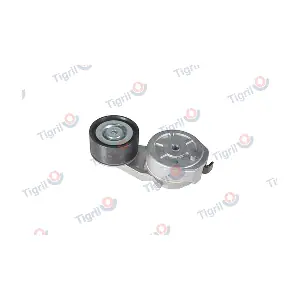 TIGRIL VO01.0038