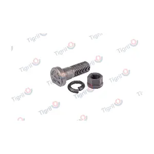 DB24.0048 TIGRIL