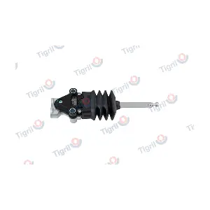 DB14.0057 TIGRIL