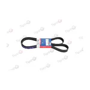 DB01.0191 TIGRIL