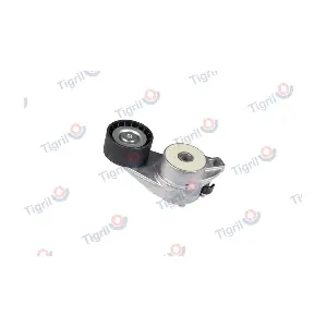 VO01.0058 TIGRIL