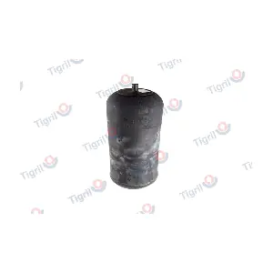 DB08.0006 TIGRIL