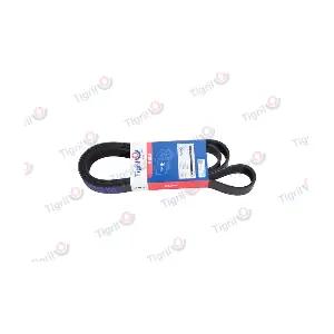 DB01.0189 TIGRIL