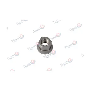 RV24.0002 TIGRIL