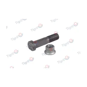 DB24.0045 TIGRIL