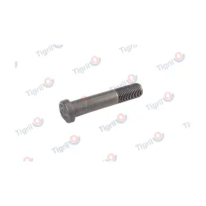 DB24.0003 TIGRIL