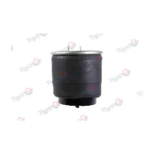 VO09.0009 TIGRIL