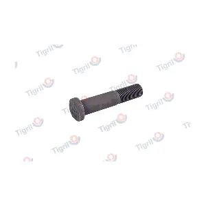 DB24.0004 TIGRIL