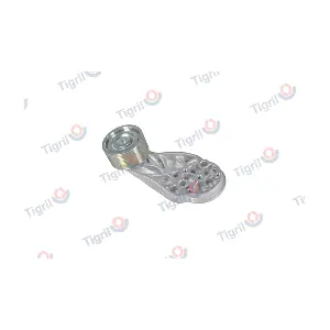 VO01.0040 TIGRIL
