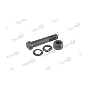 DB24.0038 TIGRIL