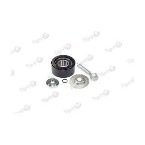 DB01.0177 TIGRIL
