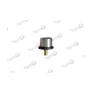 VO01.0031 TIGRIL