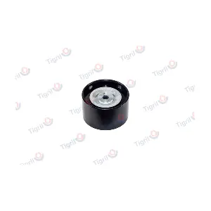 DB01.0169 TIGRIL
