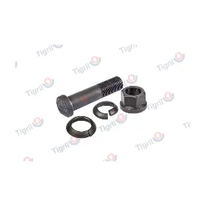 DB24.0033 TIGRIL