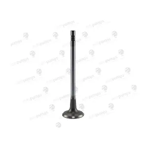 AIV11070 Autopumps UK