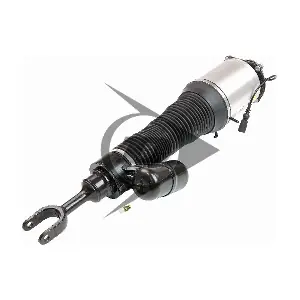 71073 Dunlop Airsuspension