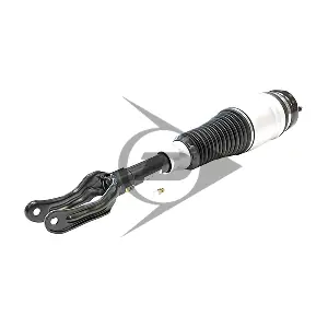 71119 Dunlop Airsuspension