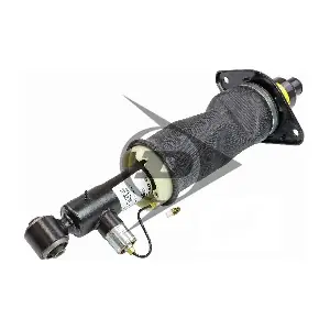 71046 Dunlop Airsuspension