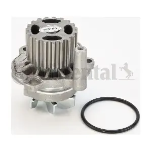 WP6006 CONTINENTAL CTAM IN