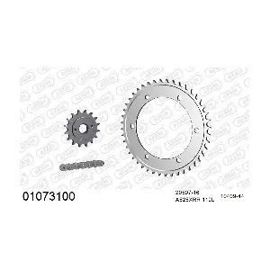 01073100 AFAM