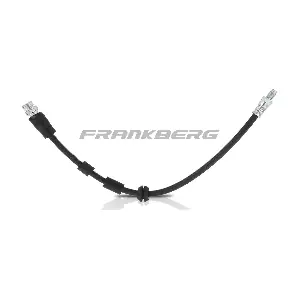 5481FB0004518 Frankberg