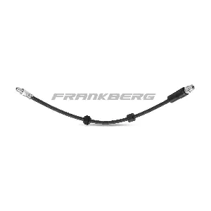 5481FB0004566 Frankberg