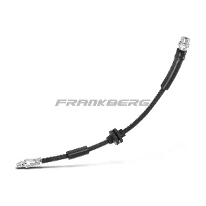 5481FB0004994 Frankberg