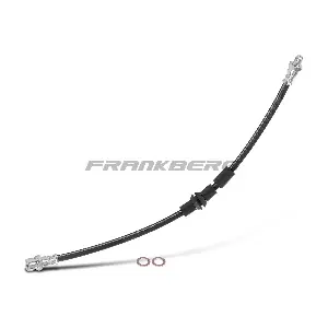 5481FB0004941 Frankberg