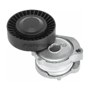 542056 DAYCO
