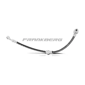 5481FB0004431 Frankberg