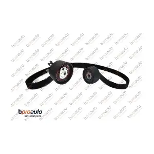 BPROAUTO 1BP30829AA
