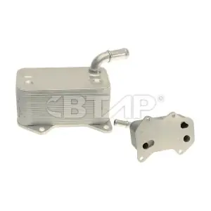 BVE105-015 BTAP