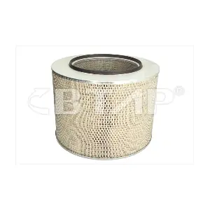 BME301-079 BTAP