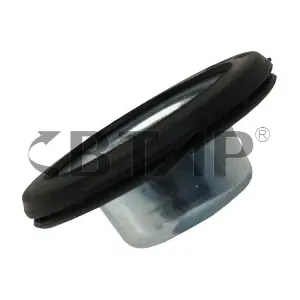 BVC318-004 BTAP