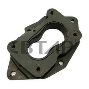 BVE204-003 BTAP