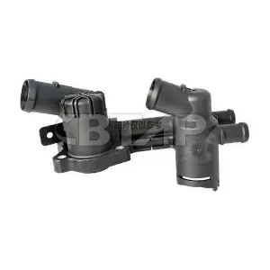 BVE902-029 BTAP