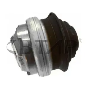 BME1101-015 BTAP