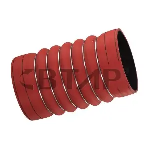 BME304-007 BTAP