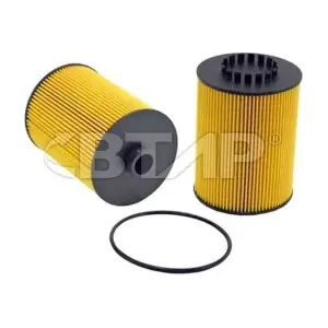 BVE101-002 BTAP