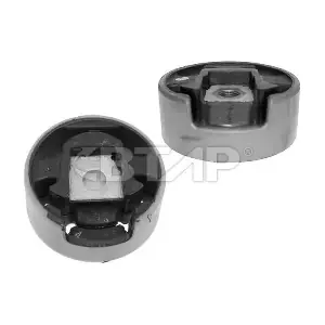 BVE1101-021 BTAP