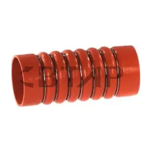 BME304-011 BTAP