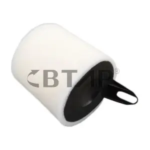 BBE301-028 BTAP