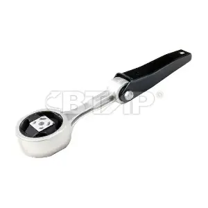 BVE1101-078 BTAP